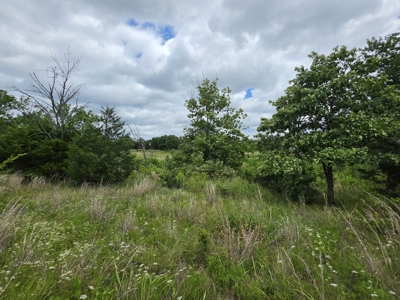 104+/- Acres Of Prime Farmland For Sale - image 36