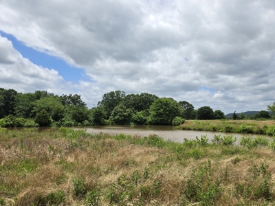 104+/- Acres Of Prime Farmland For Sale - image 28