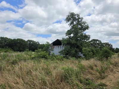 104+/- Acres Of Prime Farmland For Sale - image 21