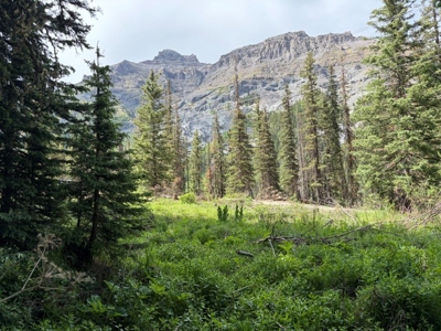 Yankee Boy Basin Mining Claim Ouray Telluride - image 12