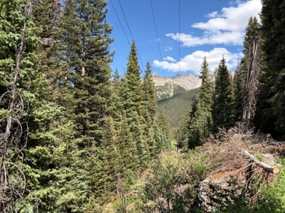 Yankee Boy Basin Mining Claim Ouray Telluride - image 7