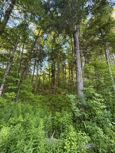 No Caption