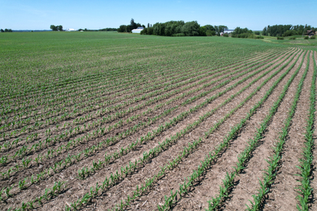 Marshall County Farmland Auction - image 22
