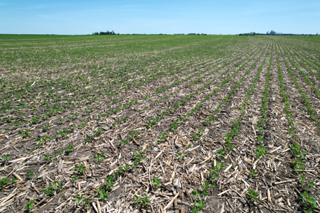 Marshall County Farmland Auction - image 16