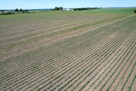 Marshall County Farmland Auction - image 27