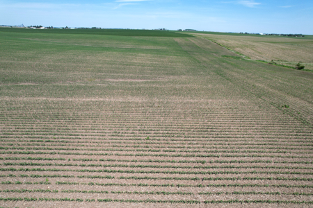 Marshall County Farmland Auction - image 23