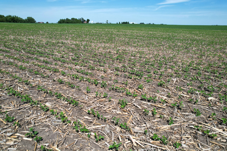 Marshall County Farmland Auction - image 25