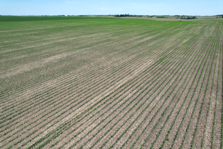 Marshall County Farmland Auction - image 11