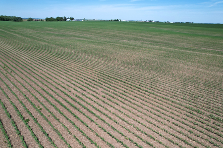 Marshall County Farmland Auction - image 17