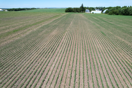 Marshall County Farmland Auction - image 5
