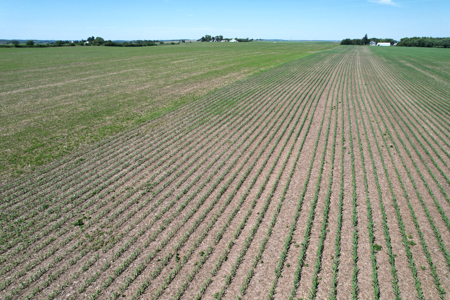 Marshall County Farmland Auction - image 21
