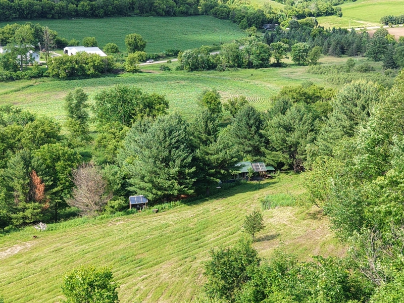 No Caption