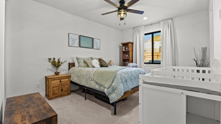Palisade CO Luxury Home on Small Acreage - image 28