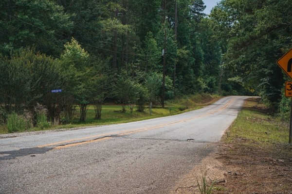 Weston 53 – Timber & Hunting Land in Louisiana
