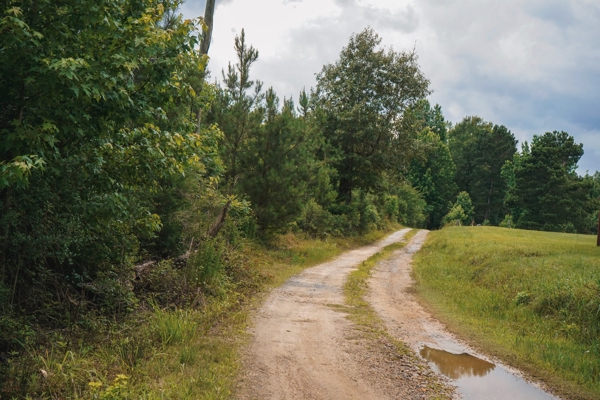 Weston 53 – Timber & Hunting Land in Louisiana