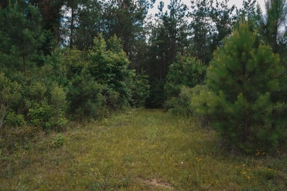 Listing 158