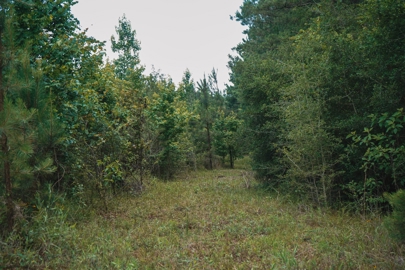 Listing 158