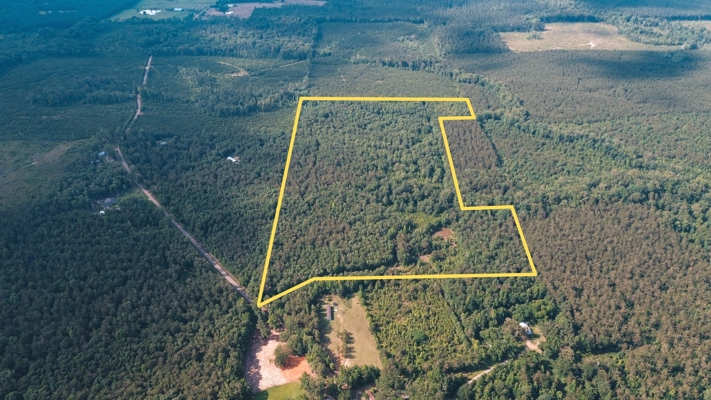 Weston 53 – Timber & Hunting Land in Louisiana