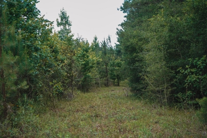 Listing 158