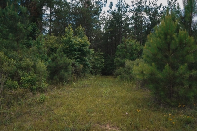 Listing 158