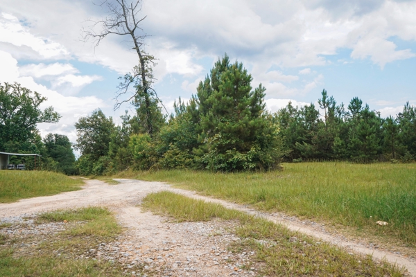 Weston 53 – Timber & Hunting Land in Louisiana
