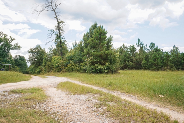 Weston 53 – Timber & Hunting Land in Louisiana