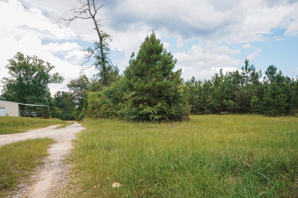 Weston 53 – Timber & Hunting Land in Louisiana