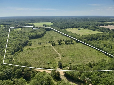 60 Acres for sale Geneva County, Hartford, Alabama Near Florida - image 1