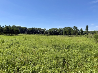 60 Acres for sale Geneva County, Hartford, Alabama Near Florida - image 29