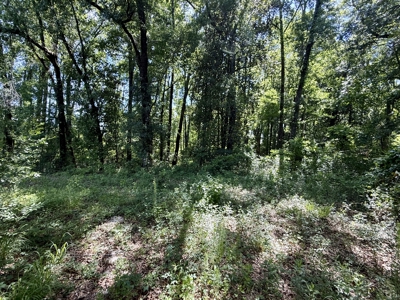 60 Acres for sale Geneva County, Hartford, Alabama Near Florida - image 9