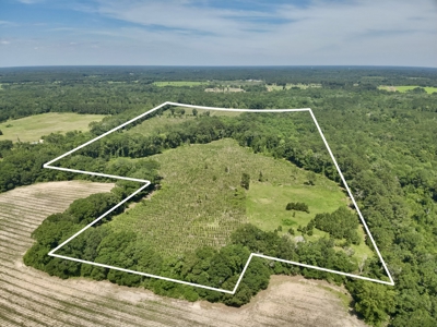 60 Acres for sale Geneva County, Hartford, Alabama Near Florida - image 31