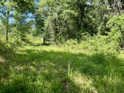 60 Acres for sale Geneva County, Hartford, Alabama Near Florida - image 28