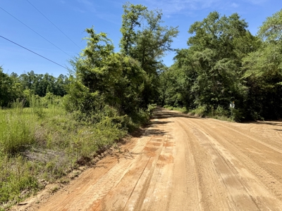 60 Acres for sale Geneva County, Hartford, Alabama Near Florida - image 2