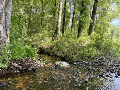 60 Acres for sale Geneva County, Hartford, Alabama Near Florida - image 14