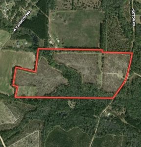 60 Acres for sale Geneva County, Hartford, Alabama Near Florida - image 32