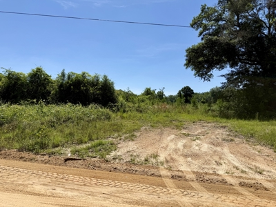 60 Acres for sale Geneva County, Hartford, Alabama Near Florida - image 3