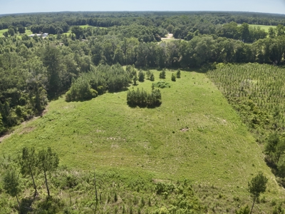 60 Acres for sale Geneva County, Hartford, Alabama Near Florida - image 21
