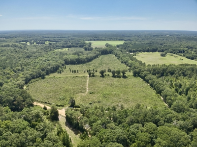 60 Acres for sale Geneva County, Hartford, Alabama Near Florida - image 10