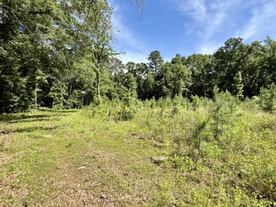 60 Acres for sale Geneva County, Hartford, Alabama Near Florida - image 20