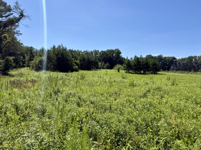 60 Acres for sale Geneva County, Hartford, Alabama Near Florida - image 30