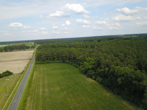 Hunting Property