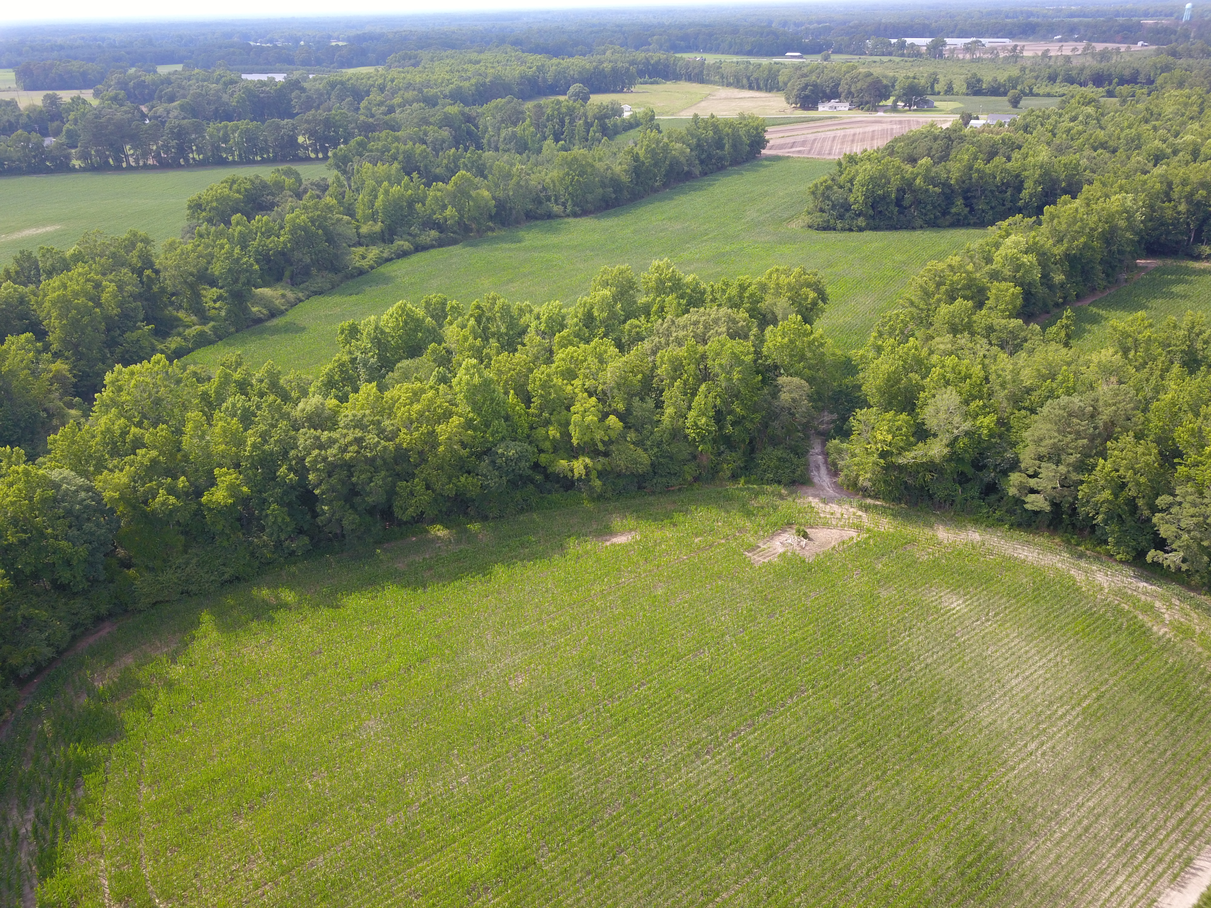 Farm