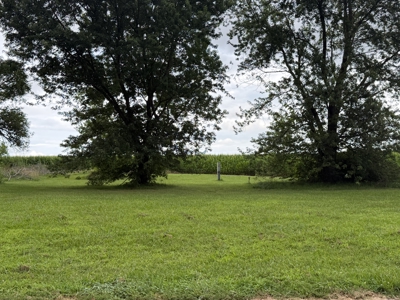 One acre country lot for sale near Franklin Ky. - image 3