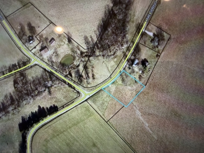 One acre country lot for sale near Franklin Ky. - image 2