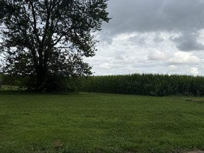 One acre country lot for sale near Franklin Ky. - image 1