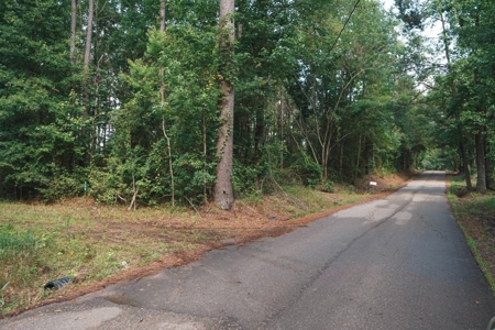 Weston 112 – Timber & Hunting Land in Jackson Parish, LA - image 17