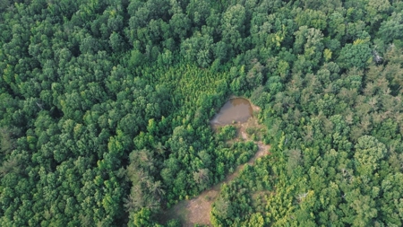 Weston 112 – Timber & Hunting Land in Jackson Parish, LA - image 19