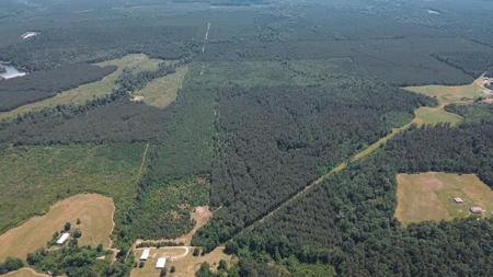 Weston 112 – Timber & Hunting Land in Jackson Parish, LA - image 7
