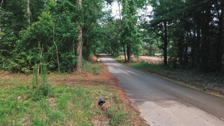 Weston 112 – Timber & Hunting Land in Jackson Parish, LA - image 24