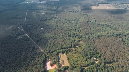 Weston 112 – Timber & Hunting Land in Jackson Parish, LA - image 18
